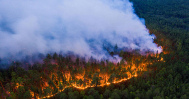 Uluslararası yardım talebi: Kolombiya çıkan orman yangınlarıyla baş edemiyor!