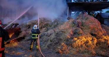 Yalova’da korkutan yangın: Hangarda maddi hasar meydana geldi