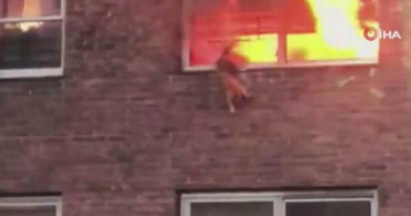 Yangında Kalan Kedi, Pencereden Atlayarak Kurtuldu