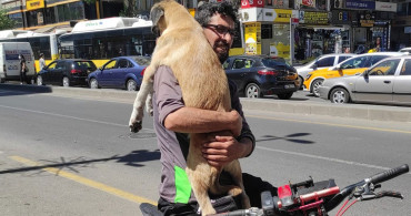 Yaralı Köpeği Bisikletle 5 Kilometre Boyu Taşıdı