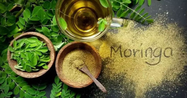 Yaşlandırmayı geciktiren: Moringa çayı nedir ve nasıl tüketilir? Moringa çayı faydaları nelerdir?