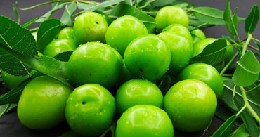 Yaz aylarının vazgeçilmez lezzeti yeşil eriğin hiç bilmediğiniz faydalarını duyunca şok olacaksınız! Bakın yeşil erik hangi hastalıkların şifası