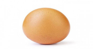 Yumurta Fotoğrafı 24 Milyon Beğeni Alarak Rekor Kırdı