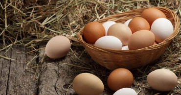 Yumurtanın Cilt ve Saç Bakımındaki Mucizeleri