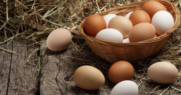 Yumurtanın Faydaları Nelerdir?