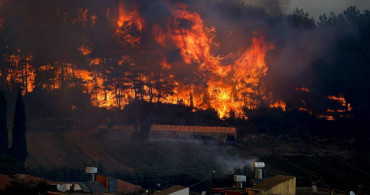 Yunanistan yangını can aldı: 1 kişi hayatını kaybetti