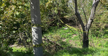 Zonguldak'ta Domuz Sanılarak Vurulan Kadın Hayatını Kaybetti