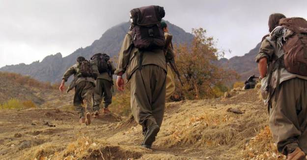 1 Milyon Lira Ödülle Aranan PKK'lı Terörist Teslim Oldu