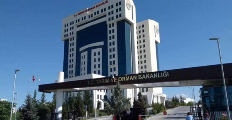 1800 personel alım duyurusu geldi! Tarım ve Orman Bakanlığı 1800 personel alım şartları  ve tarihler belli oldu!