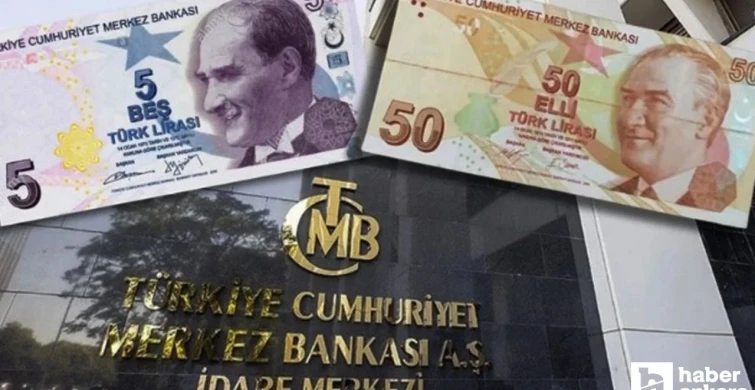 5 ve 50 TL'lik banknotlar bugün tedavüle çıkıyor