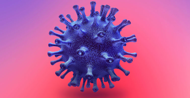 8 Şubat Koronavirüs Tablosunda Dikkat Çeken Ayrıntı