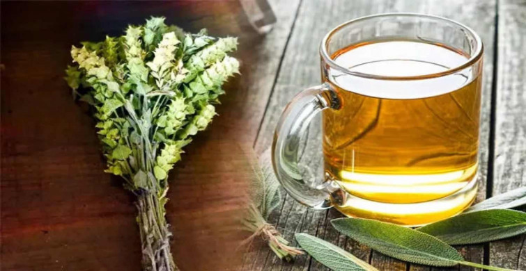 Ada çayının faydaları nelerdir, hangi hastalıklara iyi gelir? Ada çayının mucizevi etkileri