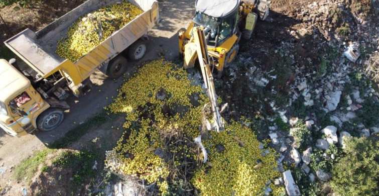 Adana'da tonlarca limon dere yatağına döküldü: Ekipler harekete geçti