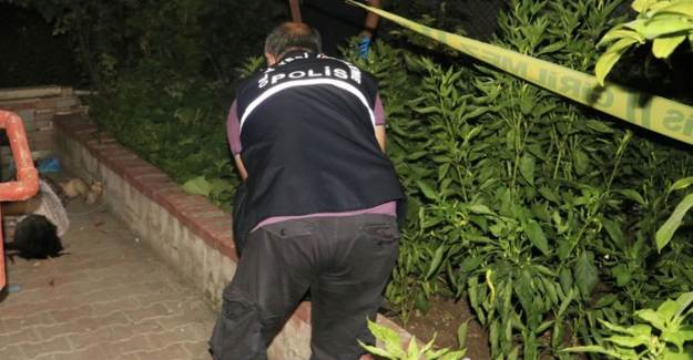 Adana'da Yaşlı Kadın Balkondan Düştü