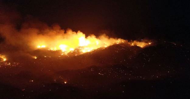 Adana'daki Orman Yangını Kontrol Altına Alındı