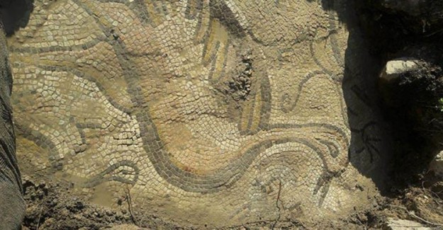 Adıyaman'da Tarlada Çalışan Çiftçiler Bizans Dönemine Ait Mozaik Buldu
