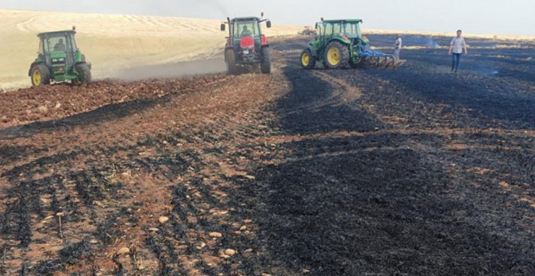 Adıyaman'da Yaklaşık 100 Dönümlük Arpa Telef Oldu