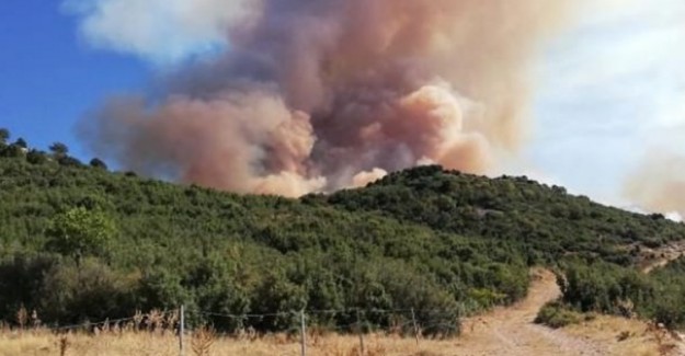 Afyonkarahisar'da Korkutan Orman Yangını