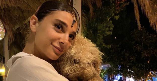 Aile, Çalışma ve Sosyal Hizmetler Bakanlığı Pınar Gültekin'in Cinayeti Davasına Müdahil Olacak