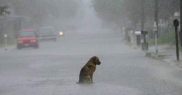 AKOM Uyardı! İstanbul'da Yağış Ne Zamana Kadar Sürecek?