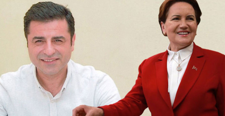 Akşener'in Ayrı Aday Çıkarma İsteği Ortalığı Karıştırdı! Hiç Kimse HDP'nin Oylarını Çantada Keklik Zannetmesin