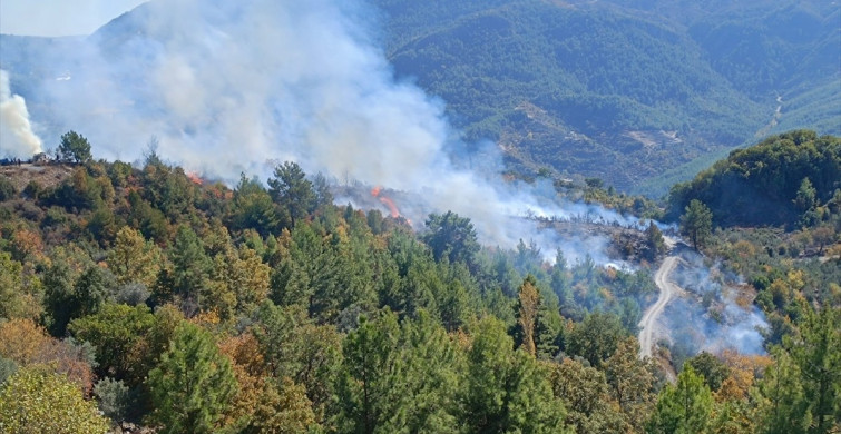 Alanya'da Zirai Yangın Kontrol Altına Alındı