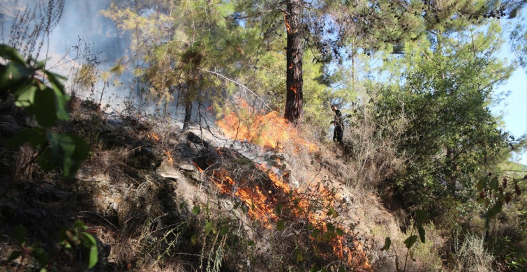 Alanya'daki Orman Yangını Kontrol Altına Alındı