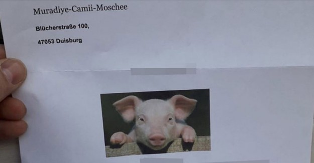 Almanya'da Camiye Domuz Fotoğraflı Hakaret Mektubu Gönderildi