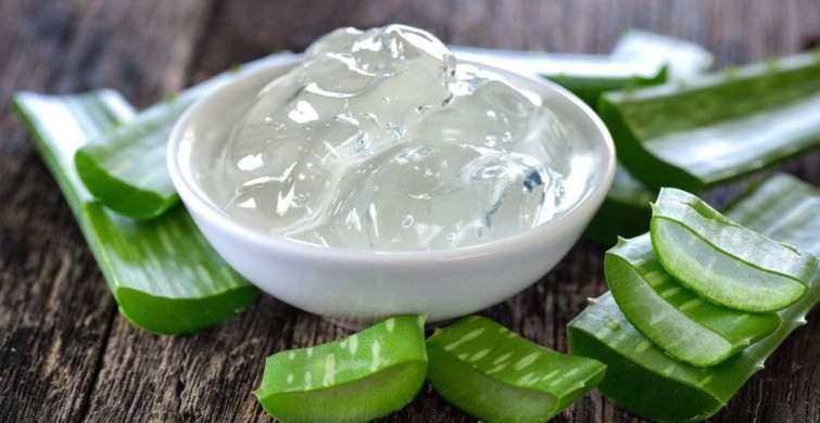 Aloe Vera bitkisi çiçek açar mı, açmaz mı, nasıl yetiştirilir? Aloe Vera çiçeğinin faydaları ve bakımı