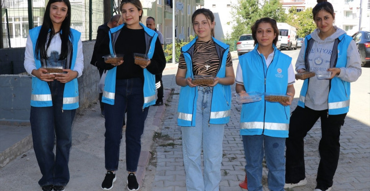 Amasya'da Öğrenciler Sokak Hayvanları İçin Destek Oldu