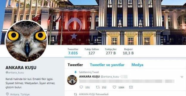 Ankara Kuşu Serbest Bırakıldı