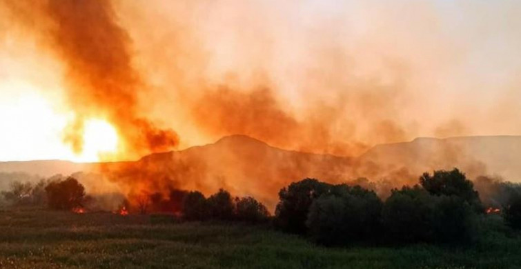 Ankara'da Korkutan Yangın: 7 Ev Hasara Uğradı