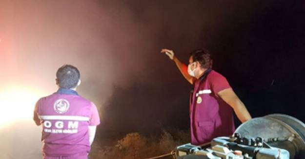 Ankara'da Orman Yangını