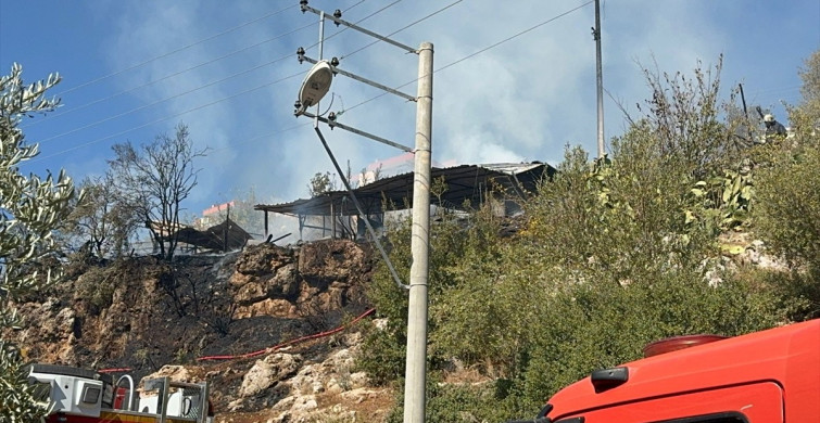 Antalya'da Yangın Felaketi: 50 Küçükbaş Hayvan Telef Oldu