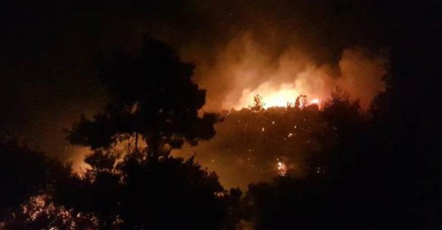Antalya'da Büyük Alana Yayılan Orman Yangını Paniğe Yol Açtı 