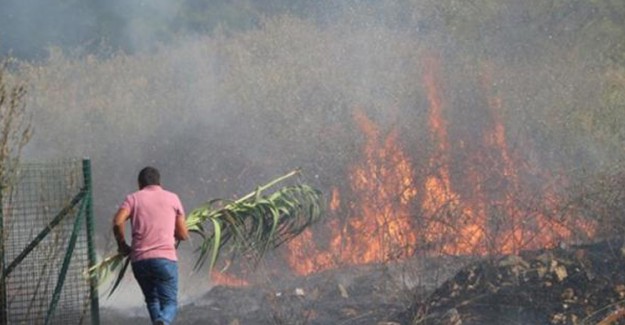 Antalya'da İki Bölgede Yangın