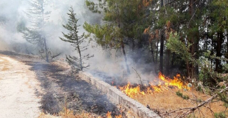 Antalya'da Korkunç Yangın! İki Noktada Orman Yangını Meydana Geldi