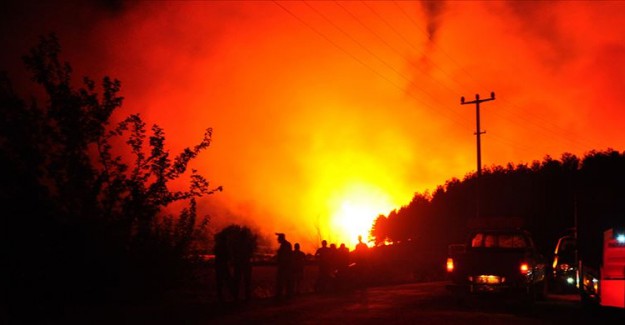 Antalya'da Orman Yangını !