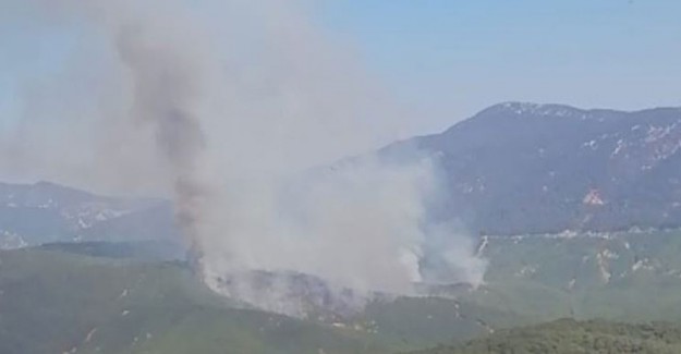 Antalya'nın Kaş İlçesinde Orman Yangını