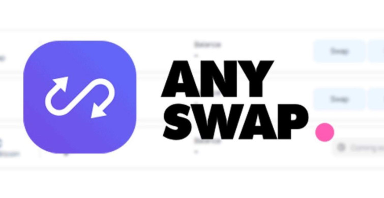 Any coin nedir? Anyswap coin projesi ve yol haritası