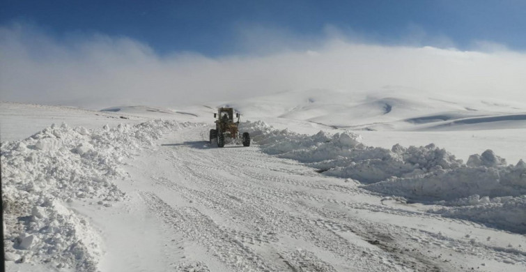 Ardahan'da Etkili Dolu Yağışı: Yollar Beyaza Büründü