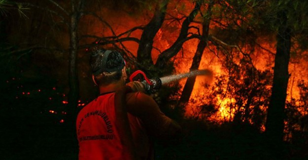 Arnavutköy'de Ormanlık Alanlık Alanda Yangın