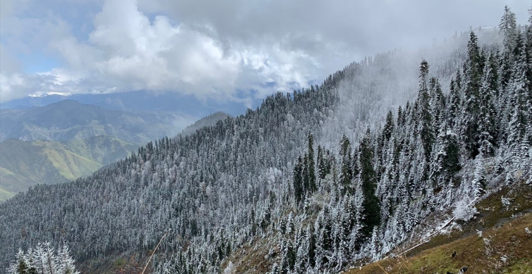 Artvin'deki Kış Koşulları ve Ulaşım Durumu