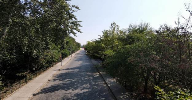 Asırlık Ağaçların Gölgesinde Antik Yol