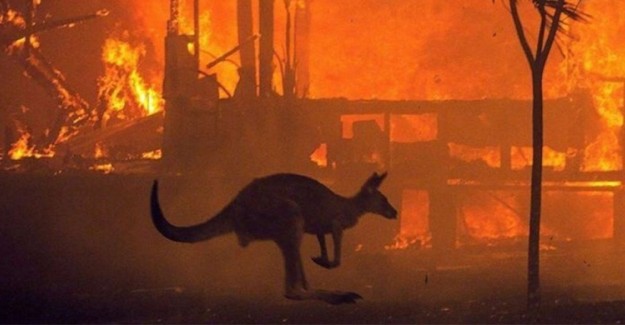 Avustralya'daki Yangınlar 240 Gün Sonra Sona Erdi