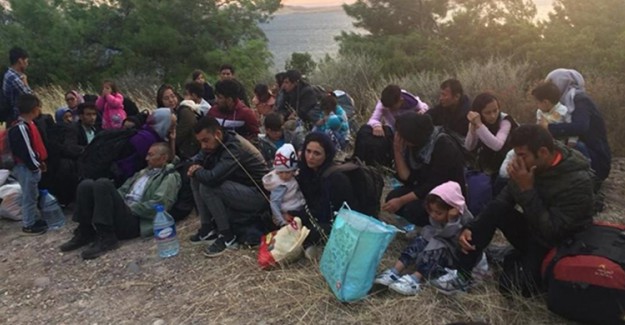 Ayvalık'ta 48 Göçmen Organizatörleriyle Beraber Yakalandı