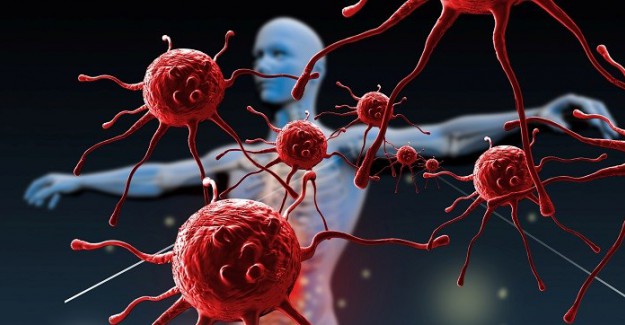 Bağışıklık Sisteminin İki Önemli Düşmanı: Tarım İlaçları Ve Ağır Metaller