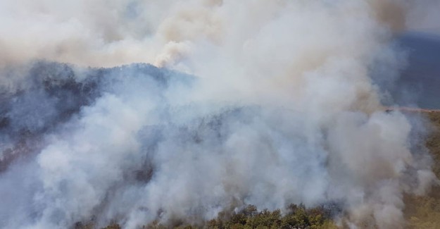 Bakan Açıkladı! Antalya'daki Yangın Kontrol Altına Alındı