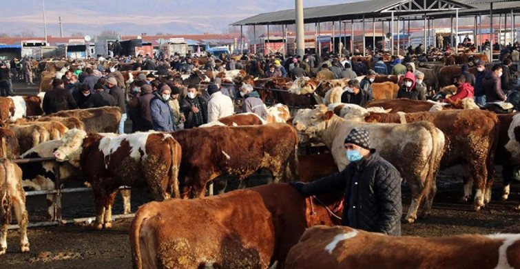 Bakanlık kırmızı alarm verdi: Ülke genelinde önlemler alındı