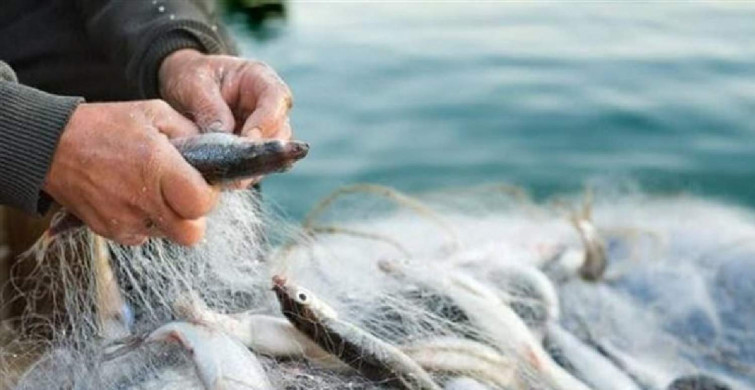 Balık avı yasağı ne zaman başlıyor? Balık avı yasağı tarihleri 2022